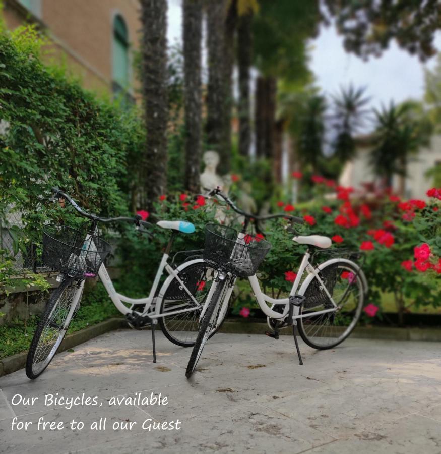 โรงแรมวิลลา เดลเล ปาลเม Lido di Venezia ภายนอก รูปภาพ