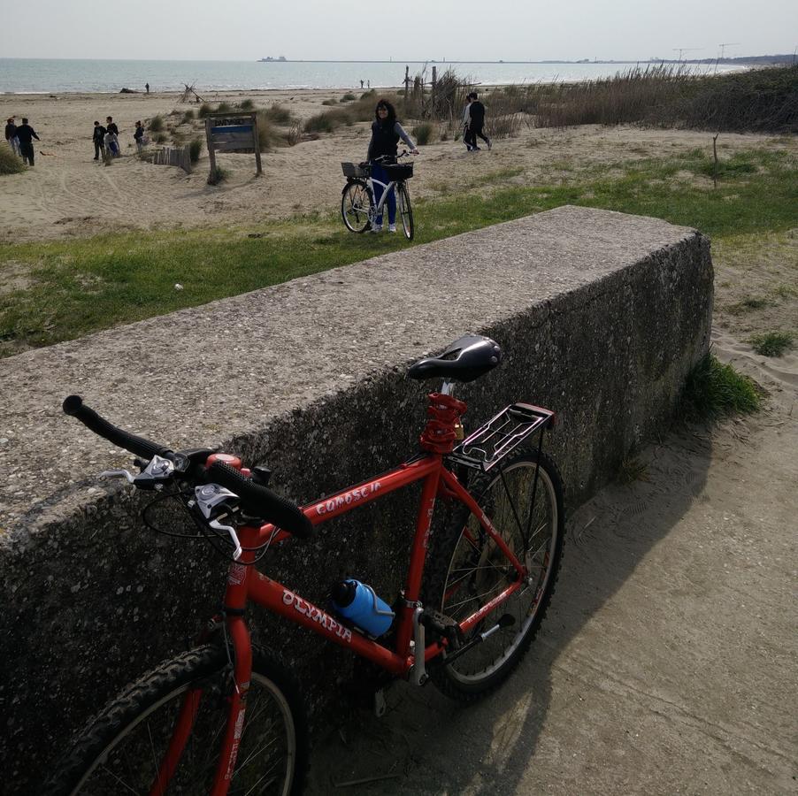 โรงแรมวิลลา เดลเล ปาลเม Lido di Venezia ภายนอก รูปภาพ